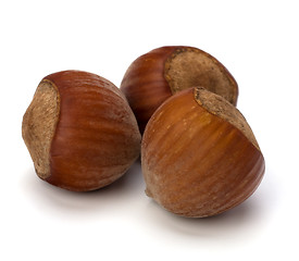 Image showing hazelnuts isolated on white background