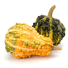 Image showing Decorative pumpkin 