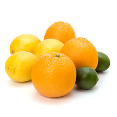 Image showing Citrus fruits