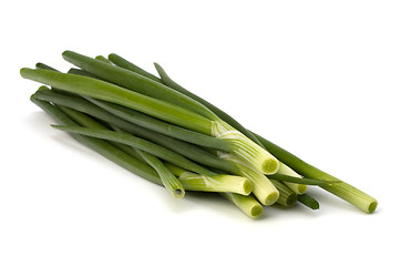 Image showing spring onion 