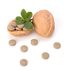 Image showing herbal pills