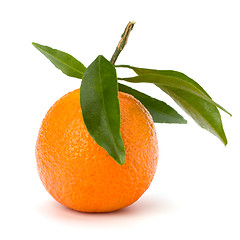 Image showing tangerine i