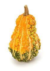 Image showing Decorative pumpkin 