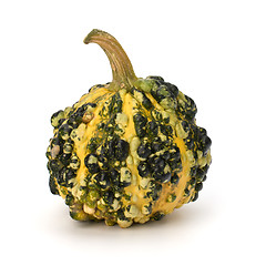 Image showing Decorative pumpkin 