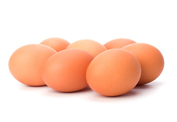 Image showing eggs isolated on white background