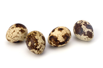 Image showing quail eggs