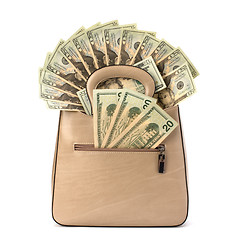 Image showing Glamour handbag full with money