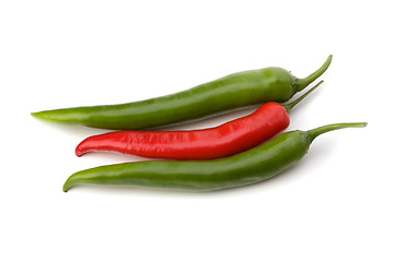 Image showing Chili pepper isolated on white background