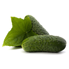 Image showing cucumber