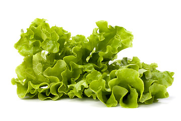 Image showing Lettuce salad isolated on white background