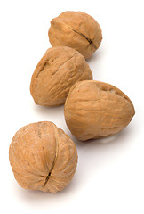 Image showing Circassian walnut isolated on the white background 