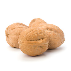 Image showing  walnut