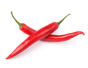 Image showing Chili pepper isolated on white background