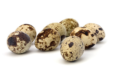 Image showing quail eggs