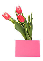 Image showing greeting card  with pink tulips  isolated on white background