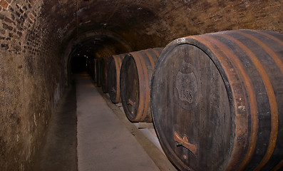 Image showing Wine cellar