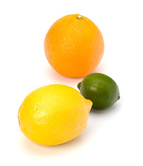 Image showing Citrus fruits