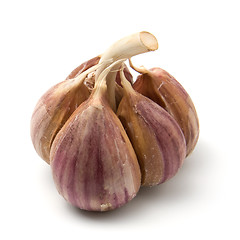 Image showing garlic isolated on white background