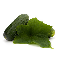 Image showing cucumber