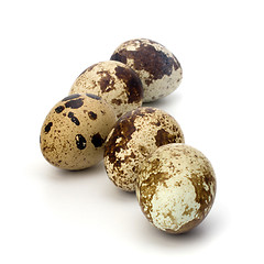 Image showing quail eggs