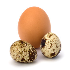 Image showing quail and hen's eggs 