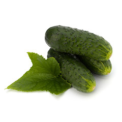 Image showing cucumber