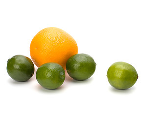 Image showing Citrus fruits