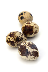 Image showing quail eggs