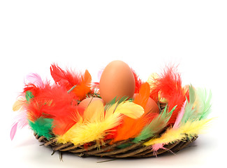 Image showing easter egg in nest isolated on white background