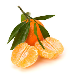 Image showing Tangerines