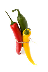 Image showing Chili pepper isolated on white background