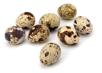 Image showing quail eggs