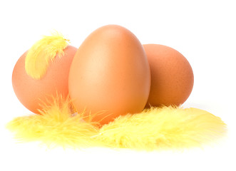 Image showing Eggs and feather isolated on white background. Easter decor.