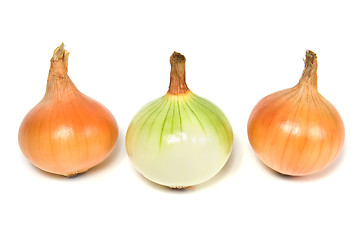 Image showing onion isolated on white background