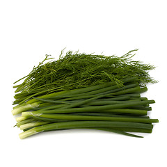 Image showing dill and young onion isolated on white background