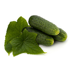 Image showing cucumber