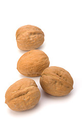 Image showing Circassian walnut isolated on the white background 