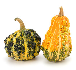 Image showing Decorative pumpkin 