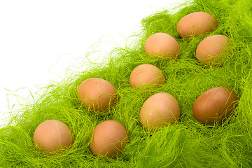 Image showing eggs border 