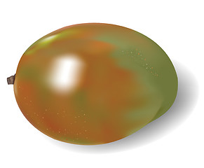 Image showing raster. mango