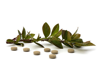 Image showing herbal medicine isolated on white background 