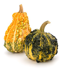 Image showing Decorative pumpkin 