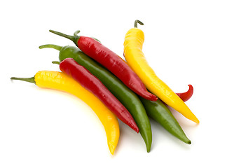 Image showing Chili pepper isolated on white background