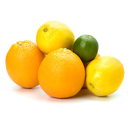 Image showing Citrus fruits