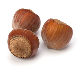 Image showing hazelnuts isolated on white background