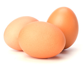 Image showing eggs isolated on white background