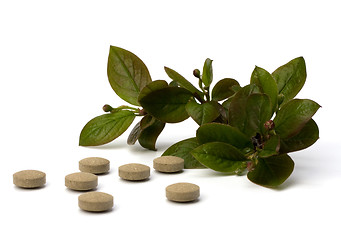 Image showing herbal medicine isolated on white background 