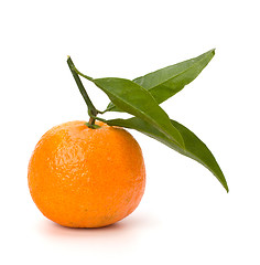 Image showing tangerine i