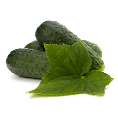 Image showing cucumber