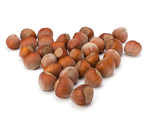 Image showing hazelnuts isolated on white background